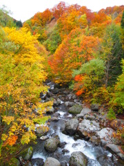 秋田街道沿いの紅葉（3）