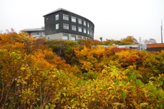 栗駒山荘の紅葉2025Ⅲ