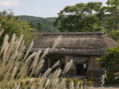 秋の装いの古民家