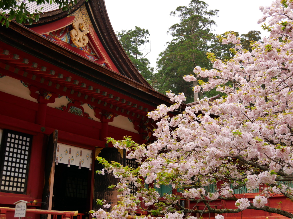 志波彦神社の御所匂