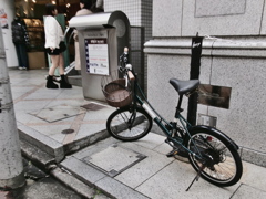 初売りの朝Ⅳ