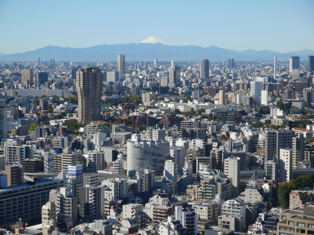 東京タワーからの眺望