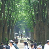 行き交う