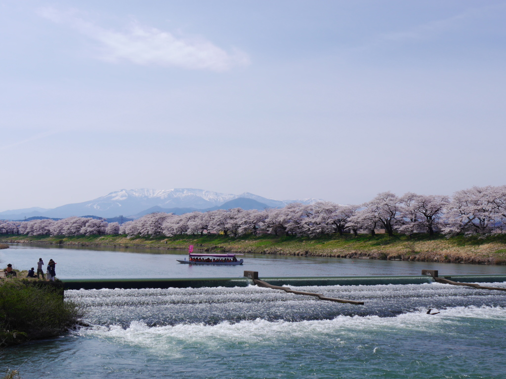 一目千本桜2018Ⅲ