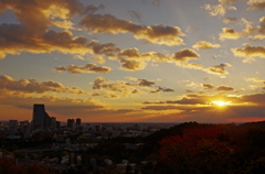 仙台城跡の朝Ⅱ