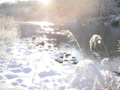 河原の雪景色