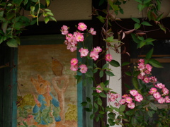 窓辺の花