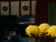 紫波彦神社秋景Ⅱ