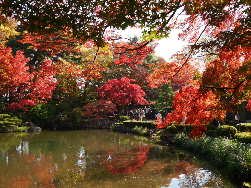 モミジ公園のモミジ2021⑬