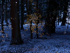 雪の木立ち