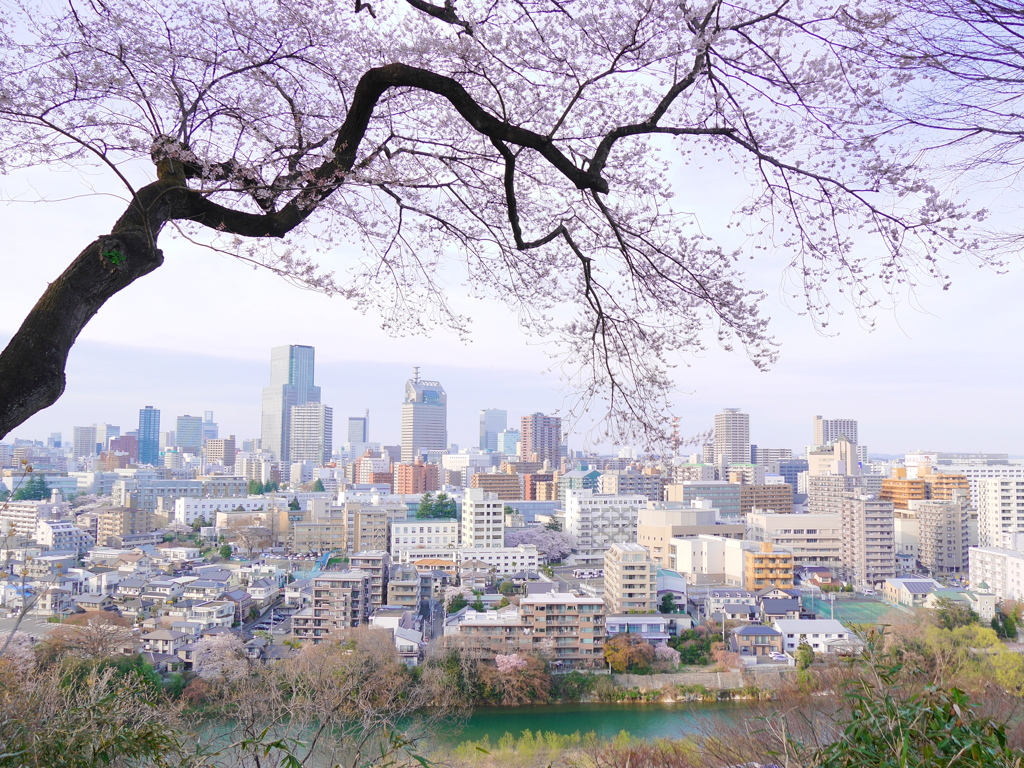 春の仙台市街