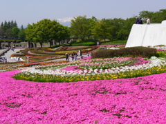 行楽日和2018Ⅵ