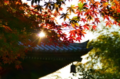朝日と吊り灯篭