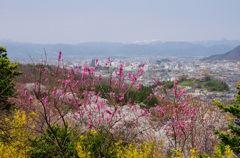 花見山公園Ⅱ