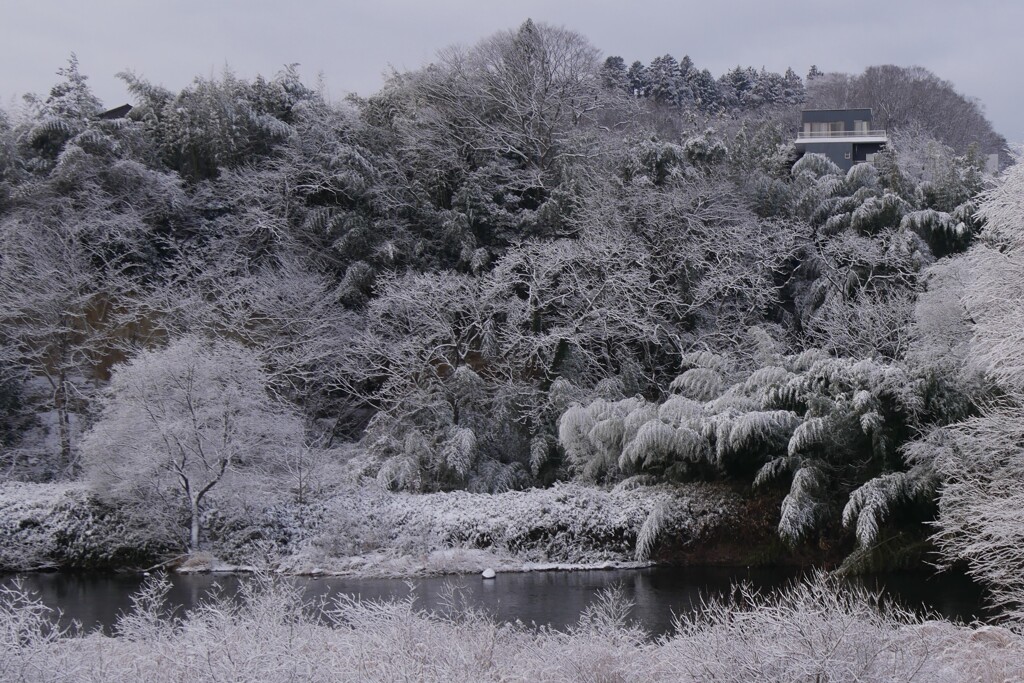 河原の雪景色