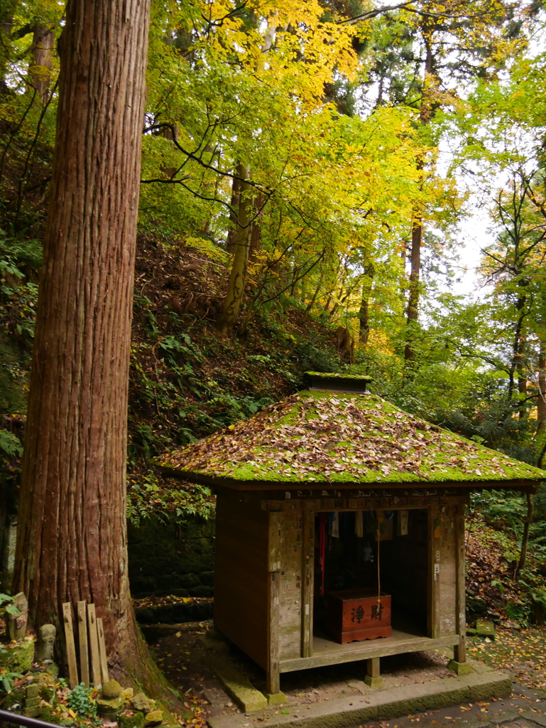秋の山寺2022Ⅵ