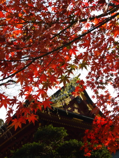 鹽竈神社の秋2015Ⅲ