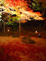 松島 円通院（１）