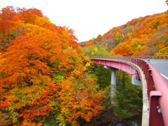 秋田街道沿いの紅葉（2）