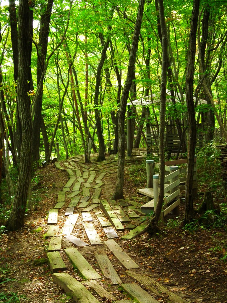森の遊歩道