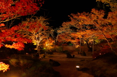 円通院2014