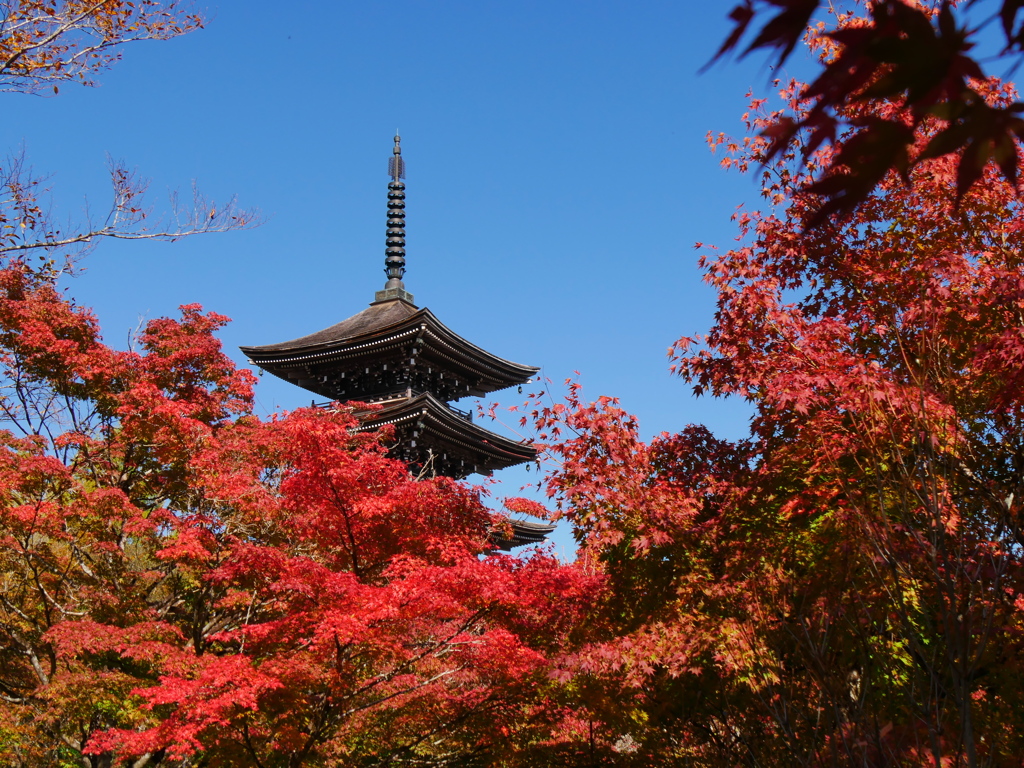 秋の定義山2024