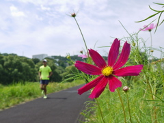 少し秋風