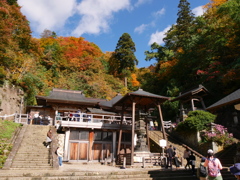 秋の山寺2025Ⅱ