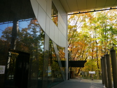 宮城県図書館秋景