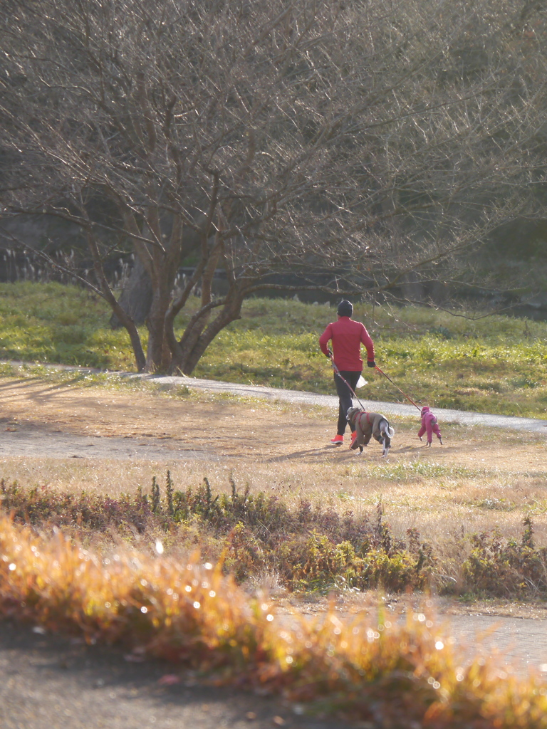 朝のランニング