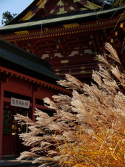 鹽竈神社秋景Ⅱ