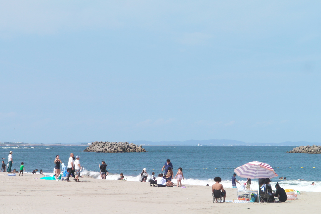 晩夏の鳥の海Ⅱ