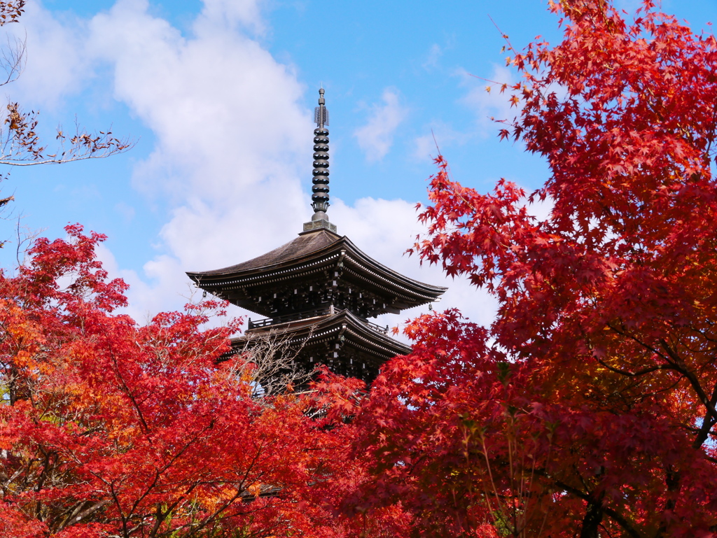 秋の定義山2022