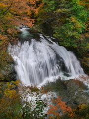 秋の関山大滝2025