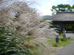 行楽の秋