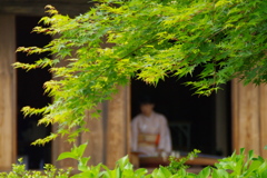 初夏の古民家