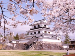 白石城の桜2021Ⅳ
