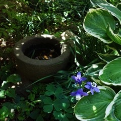 花とつくばいⅡ