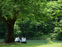 東沢バラ公園のバラ2025Ⅺ