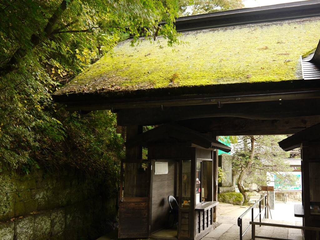 秋の山寺2019Ⅴ