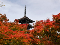 西方寺五重塔2016Ⅲ