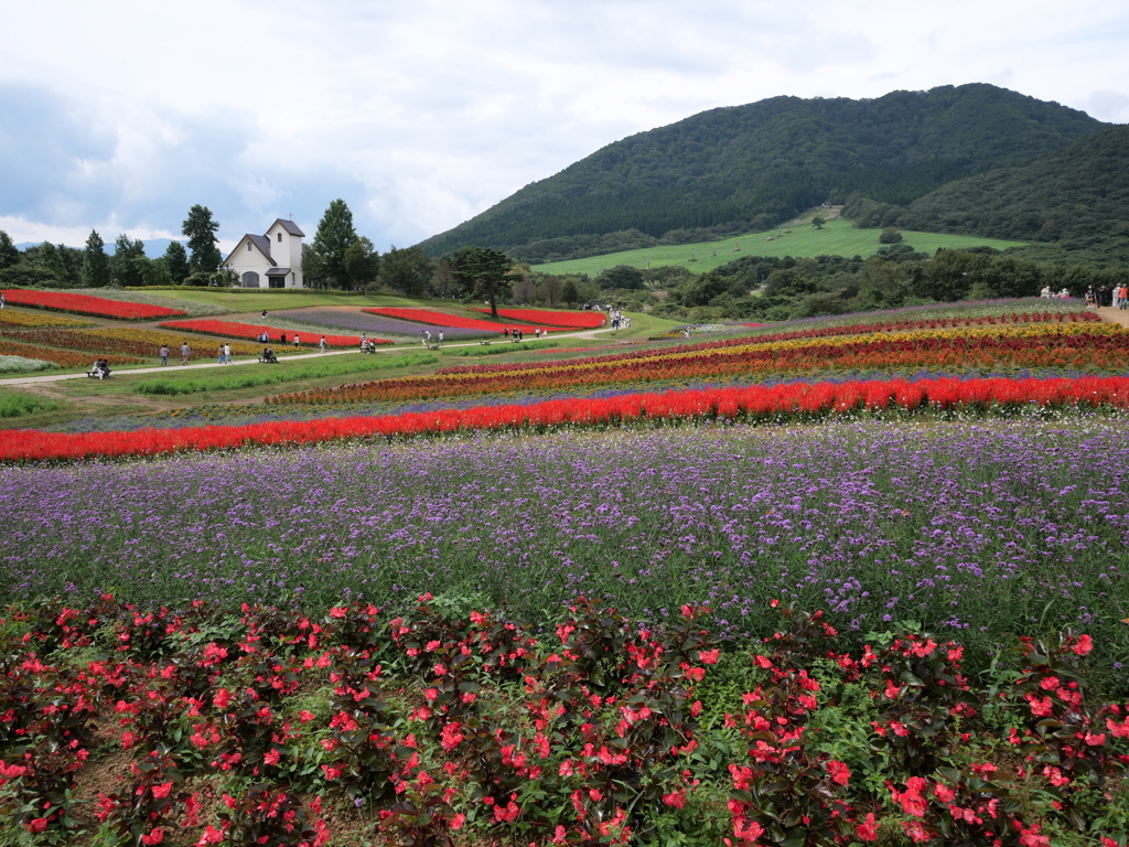 やくらいガーデン2020