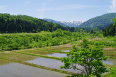 初夏の大石田