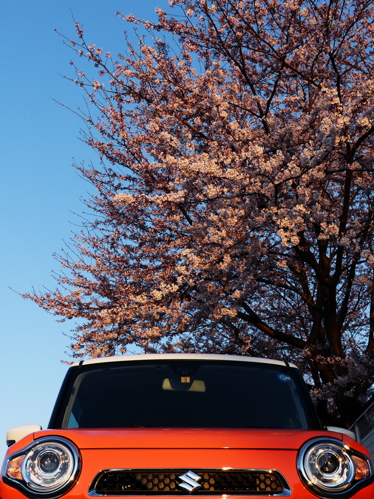 新車！