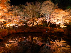 秋の円通院2025Ⅱ