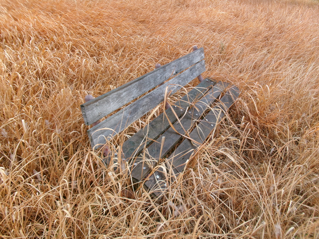 草原のベンチ