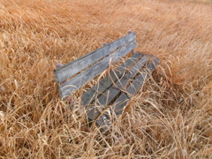 草原のベンチ