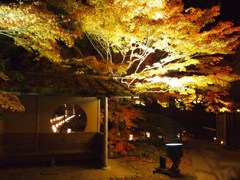 松島 円通院（２）