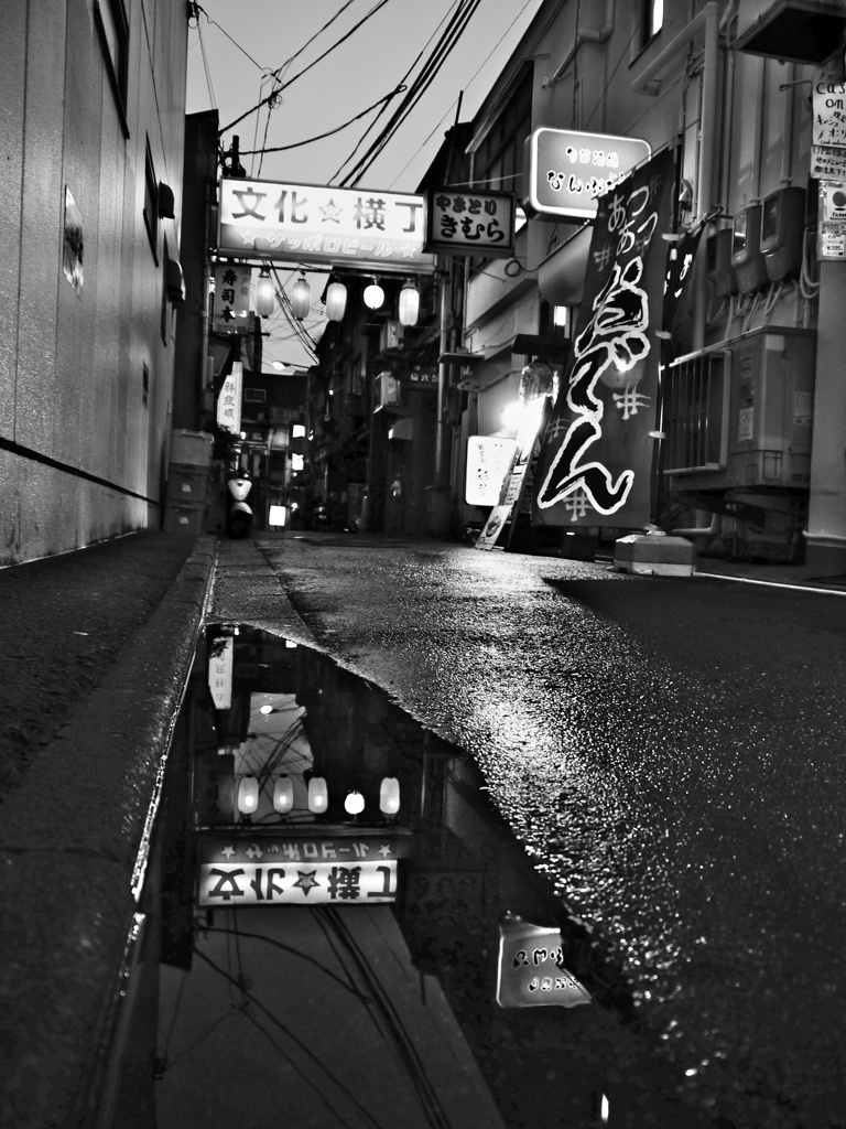夜の文化横丁