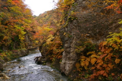鳴子峡2025Ⅵ